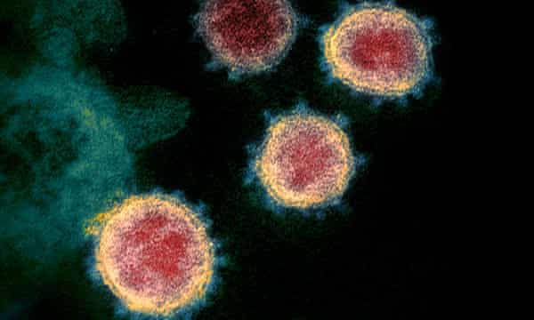 Can You Catch Coronavirus Twice What We Know About Covid 19 So Far Coronavirus The Guardian Can You Catch Coronavirus Twice What We Know About Covid 19 So Far Coronavirus The Guardian
