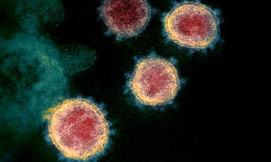 Can You Catch Coronavirus Twice What We Know About Covid 19 So Far Coronavirus The Guardian Can You Catch Coronavirus Twice What We Know About Covid 19 So Far Coronavirus The Guardian