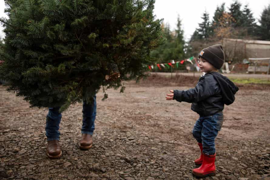 Ryan Swader de Salem carga un árbol de Navidad después de elegirlo, junto a su hijo Waylon en Tucker Tree Farm en Salem, Oregon.