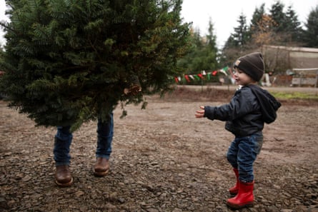 Ryan Swader of Salem loads a Christmas tree after picking it out, next to his son Waylon at Tucker Tree Farm in Salem, Oregon.