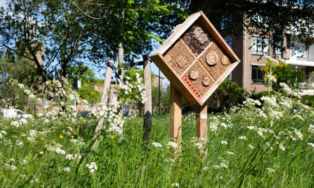 A ‘bee hotel’ seen in a city.