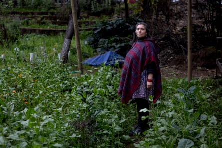 A middle-aged woman in a poncho stands in a plot of green plants