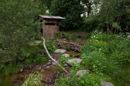 Forest garden with street and wooden hut