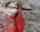 Ana Mendieta Exhibition Explores Earthly Art at Tate Modern