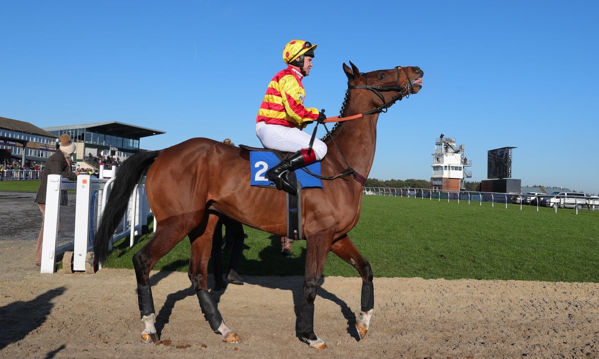 Richard Johnson Bid For Fifth Jockeys Title All But Over After Breaking Arm Horse Racing The Guardian