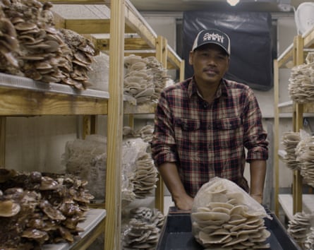 A man poses in a mushroom storage room