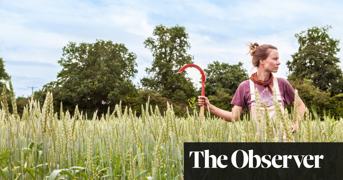 ‘Sustainable isn’t a thing’: why regenerative agriculture is food’s latest buzzword