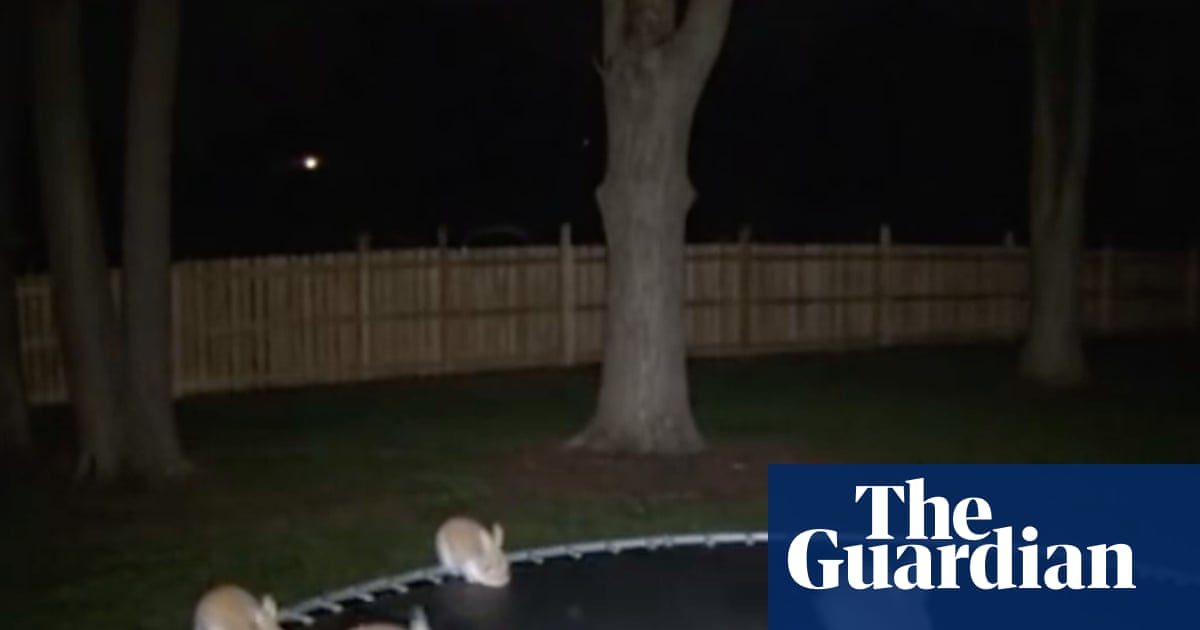 Macquarie Dictionary announces AI slop' as its word of the year, beating out Ozempic face