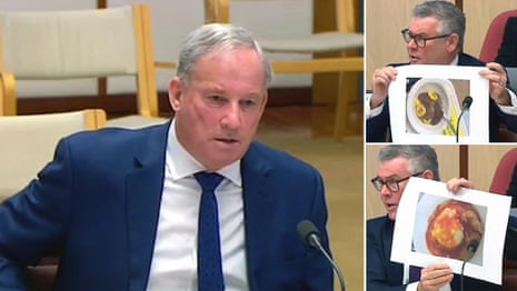 'Is that what you call decent food?': Richard Colbeck faces fiery Senate estimates hearing – video