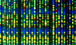 Destiny definition biology