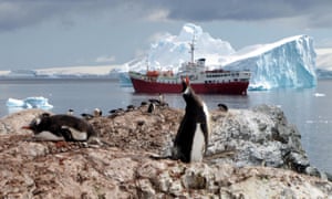 penguins on the Antarctic Peninsula