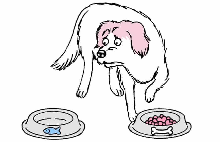 dog with nutrient bowls cartoon