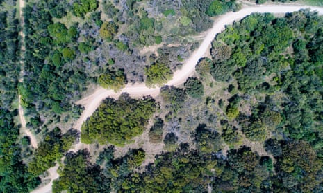 Vegetation from the air