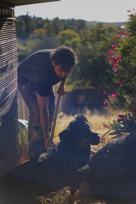 A dog smiles as a young man digs a hole outside