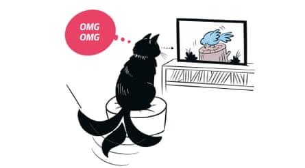Extracted from KITTY LANGUAGE by Lili Chin