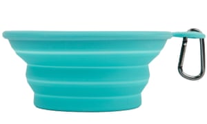 Collapsible water bowl