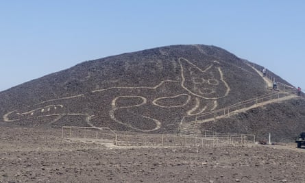 Huge Cat Found Etched Into Desert Among Nazca Lines In Peru Peru The Guardian