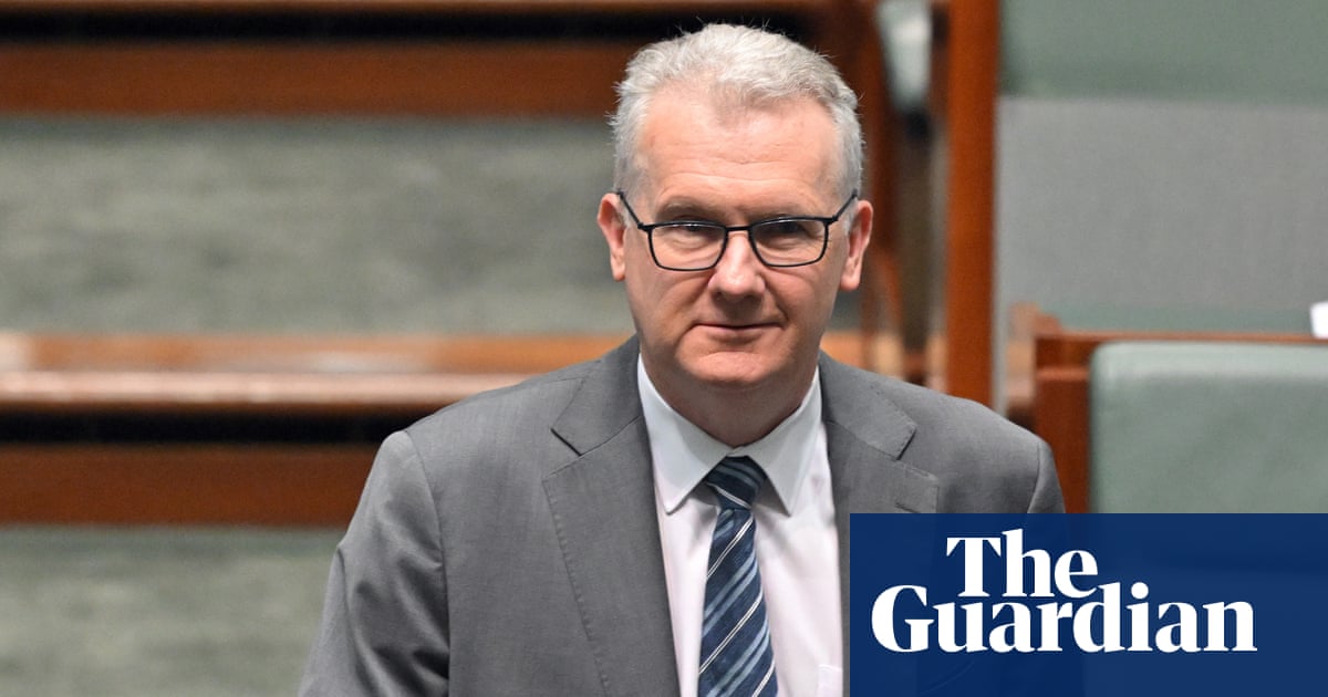 Two more Iranian football squad members granted humanitarian visas in Australia, minister confirms