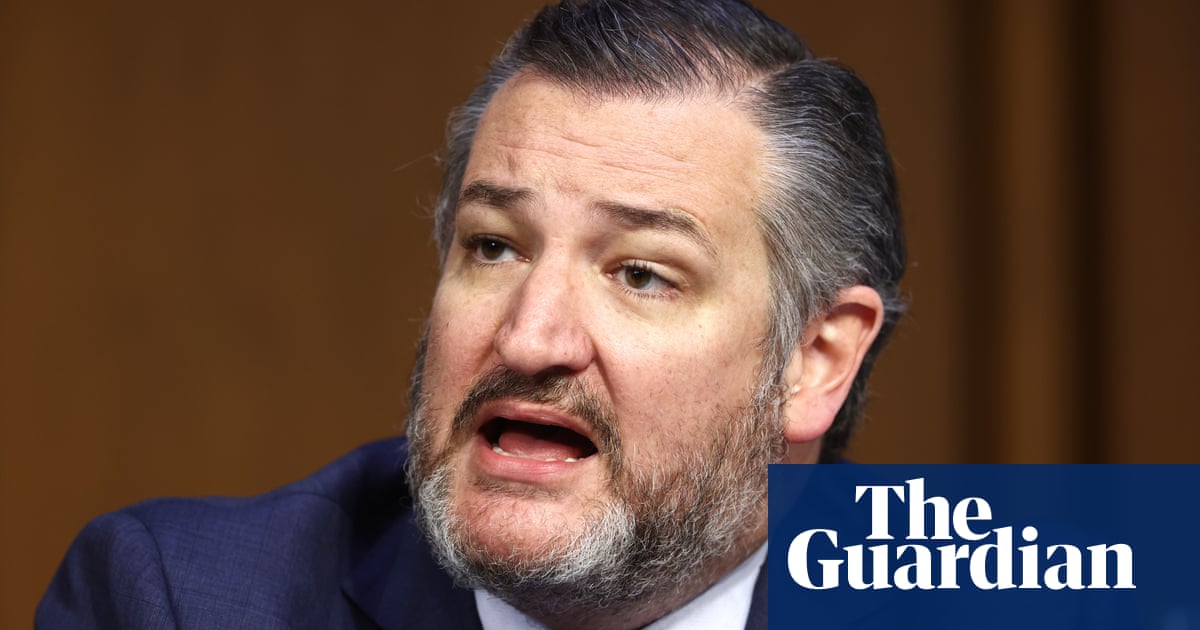 Ted Cruz laments angry supreme court hearings a day after angry airport fracas