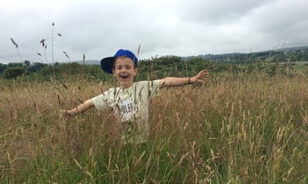 Teifi Marshes