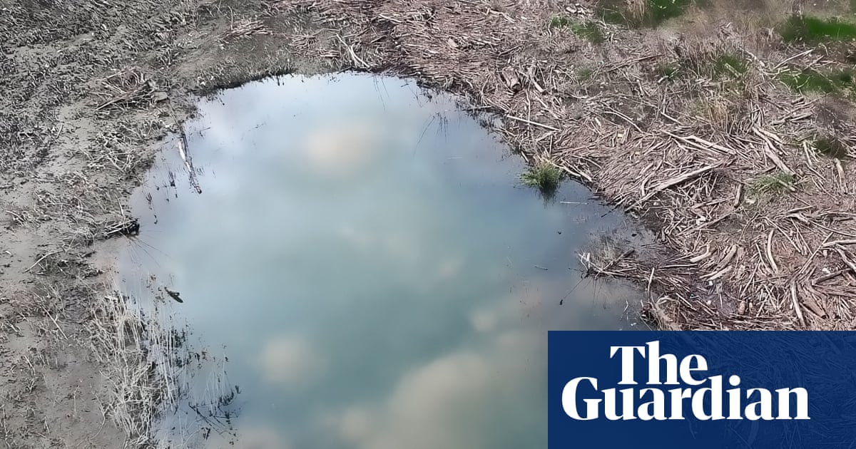 Minnesota woman rescued after being trapped in mud pit for several days