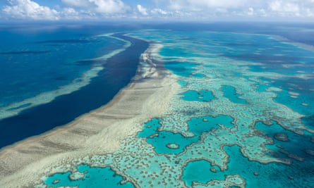 La Grande Barrière de Corail près de la région de Whitsunday, Australie