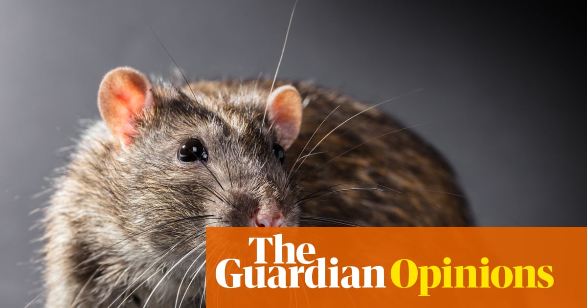 If we canât keep rats out of Britainâs jails, we shouldnât be putting children in them | Zoe Williams