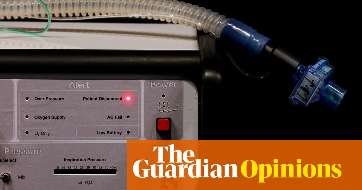 www.theguardian.com