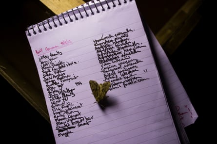 A moth rests on a notepad full of names of moths