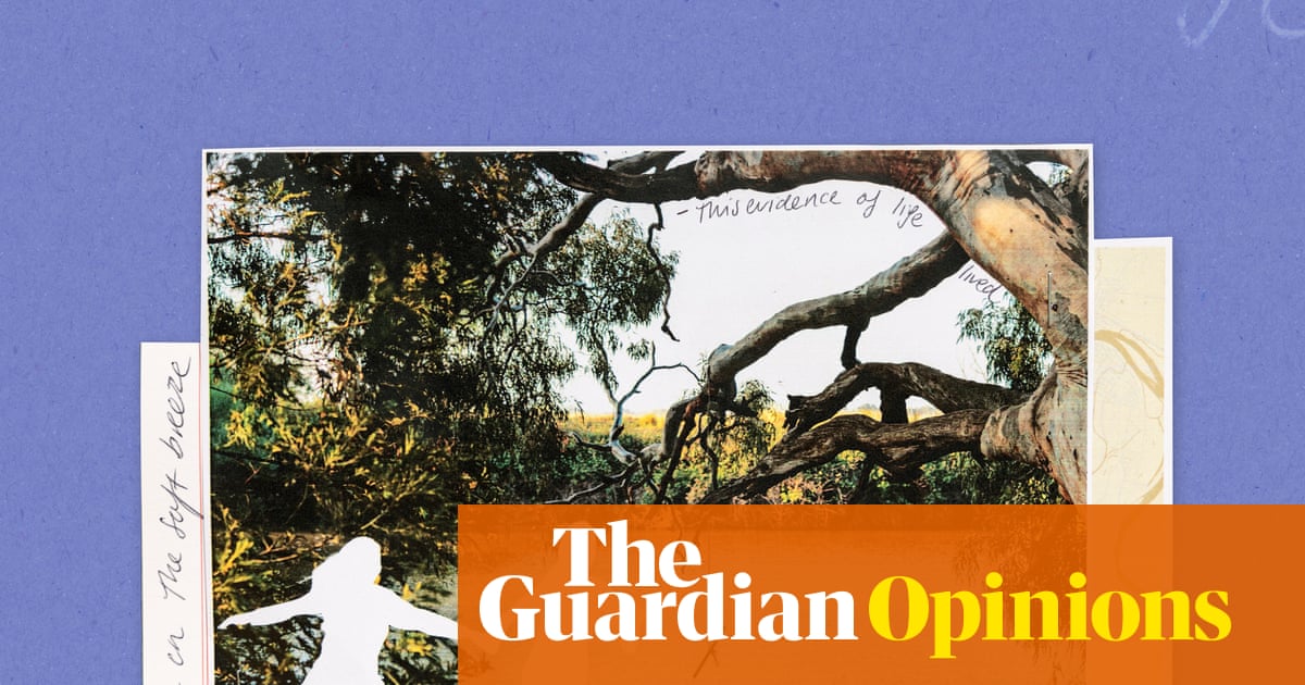 We’ve been coming to this waterhole for 30 years. Like the creek we’ve been rearranged – ravaged by time but still shining | Jessie Cole