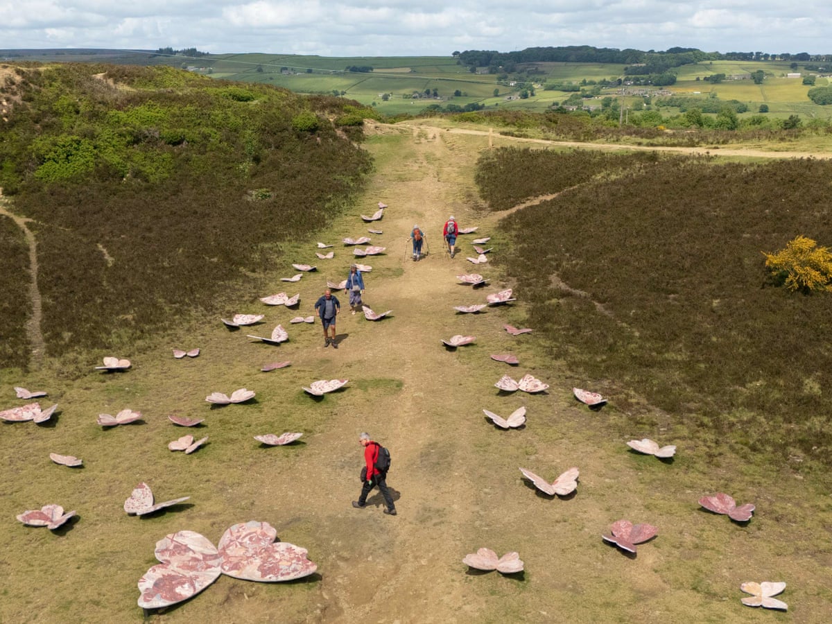 Fresh perspectives: the best outdoor art trails in the UK this autumn | Cultural trips | The Guardian