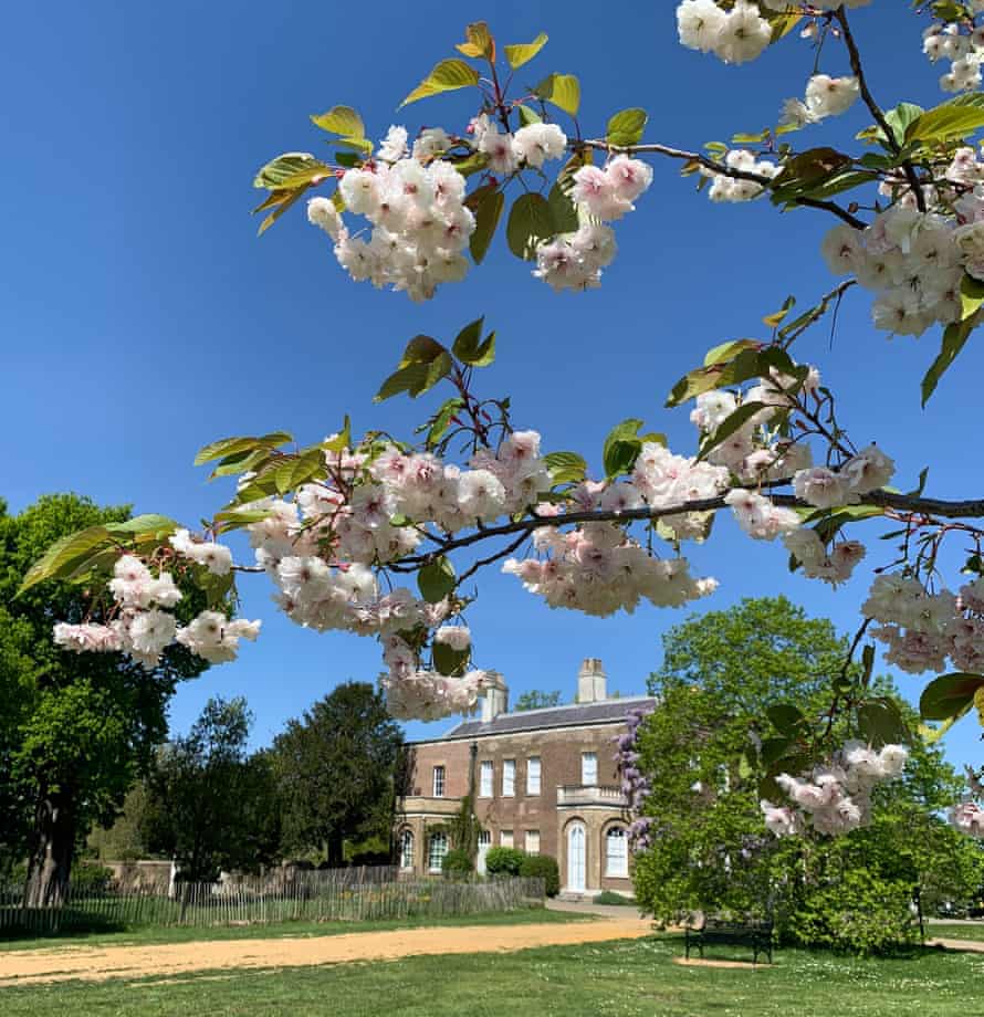 Morden Park, London.