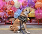 Full moons, mooncakes and lanterns in every colour: the mid-autumn festival – in pictures