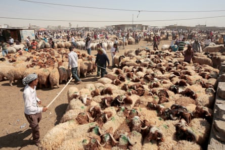 Traders at a livestock market in Erbil, the capital of Iraqi Kurdistan.