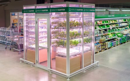 Indoor farm in Berlin's Metro Cash & Carry supermarket.