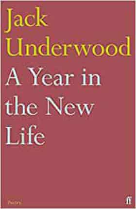 One year in the new life (Faber, £ 10.99)