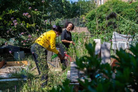 Two women gardening