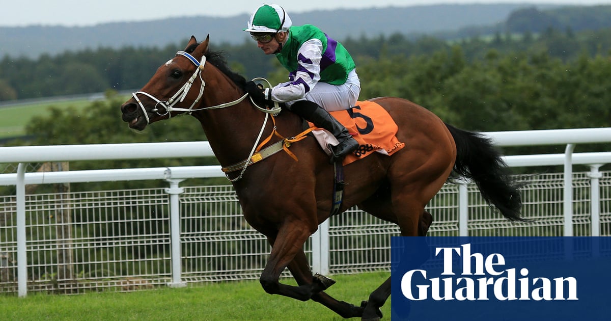 Talking Horses: Tylicky’s £6m claim has wider implications for racing