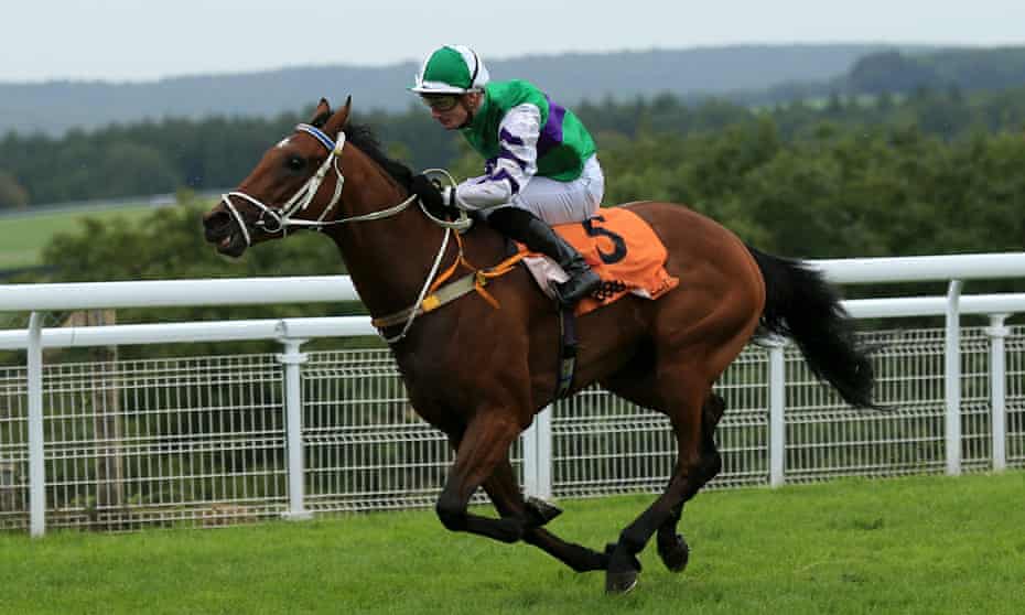 talking horses tylicky s 6m claim has wider implications for racing sport the guardian