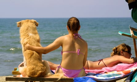 A girl pats her dog as she sits on a beacch and sunbathes.