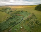 ‘Britain’s Yellowstone’: restoration project aims to take the greed out of land acquisition