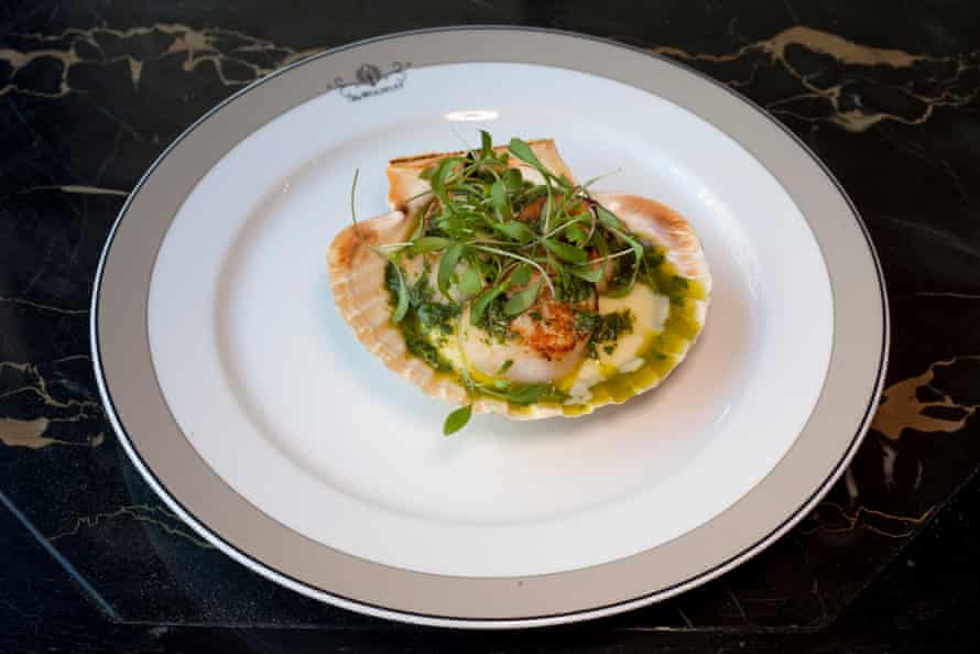 Pan-fried scallops in a shell, in a buttered potato mousseline and garnished with fine herbs