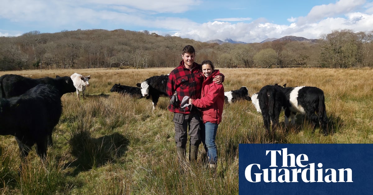 ‘It’ll take away our livelihoods’: Welsh farmers on rewilding and carbon markets