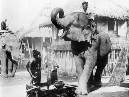 A Burmese girl is startled by an elephant at a well, circa 1910s.