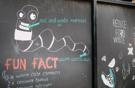 Diagram on side of wormery explains how worm humus is produced