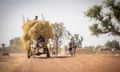 A cattle-drawn hay-laden cart moves down a dusty road in Segou Region, Mali, West Africa
