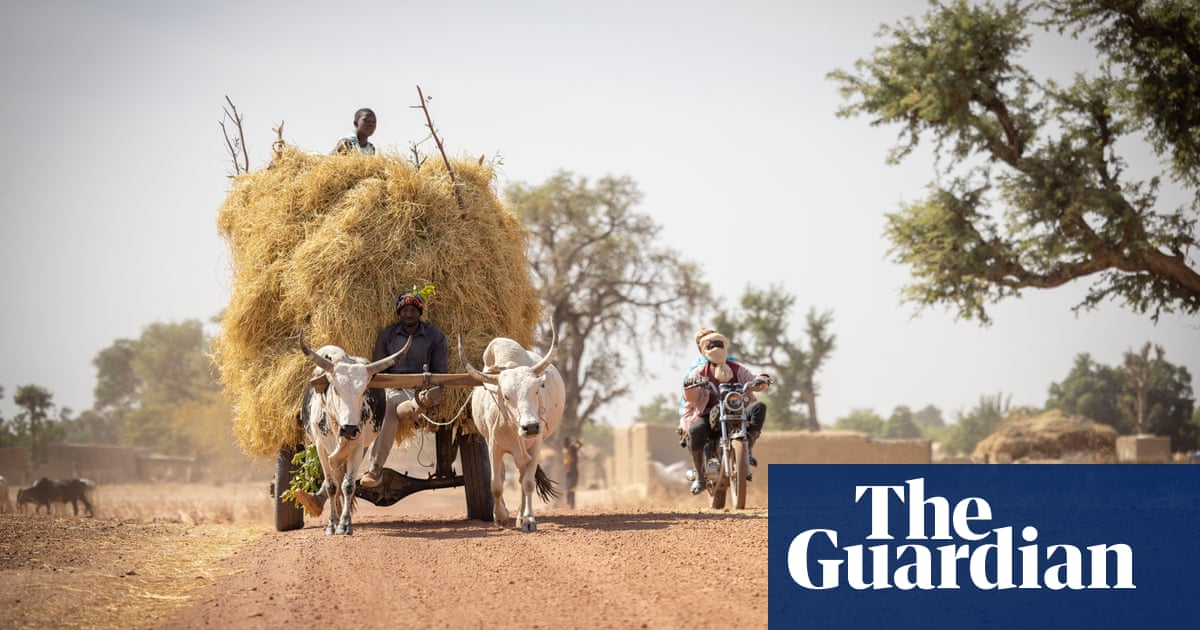 Lethal heatwave in Sahel worsened by fossil fuel burning, study finds | Climate crisis