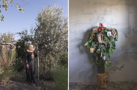 A woman holding a long stick stands in a garden next to a small tree; a plant stands indoors with photographs attached to its leaves