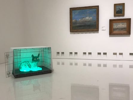 Блестящий зеленый кот угрожающе сидит в клетке с приоткрытой дверью.