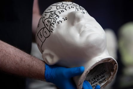 A phrenology bust